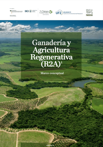 portada marco conceptual